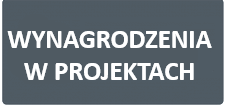 Wynagrodzenia w projektach